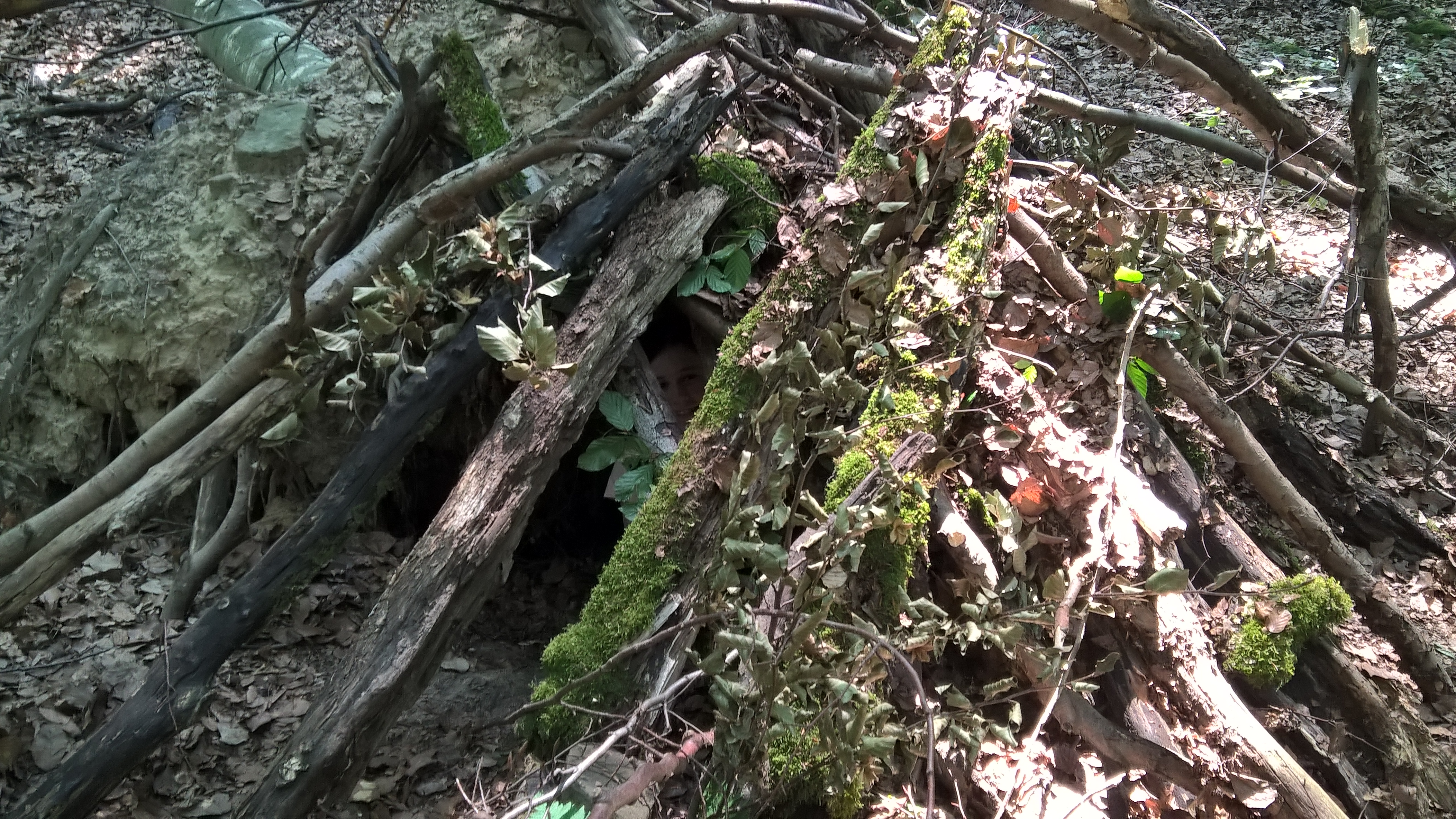 WP_20180823_13_25_35_Pro